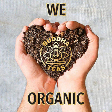 Buddha Teas Organic Skinny Buddha Blend - OU Kosher, USDA Organic, CCOF Organic, 18 Bleach-Free Tea Bag